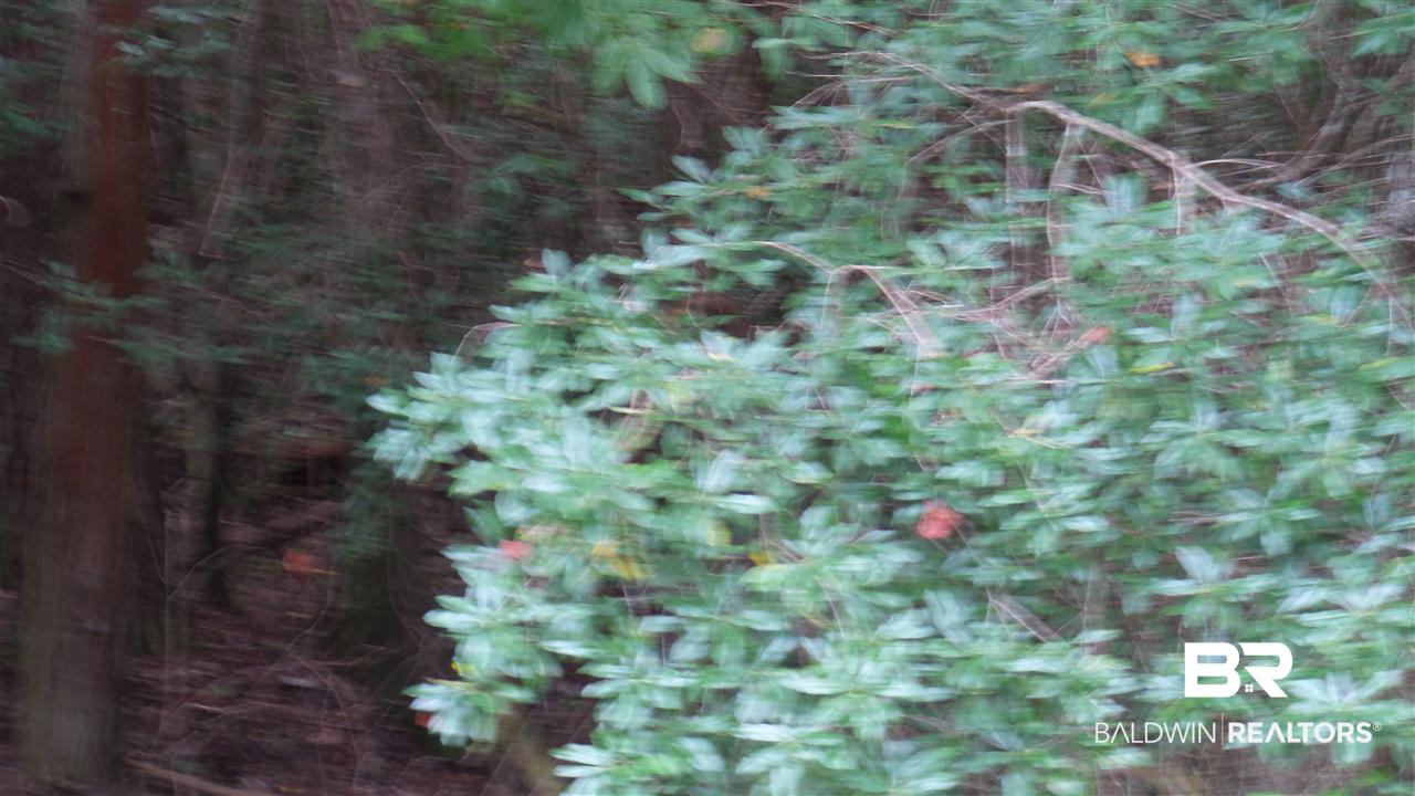 16851 Highway 182 Jay, FL 32565 - Photo 11 of 23