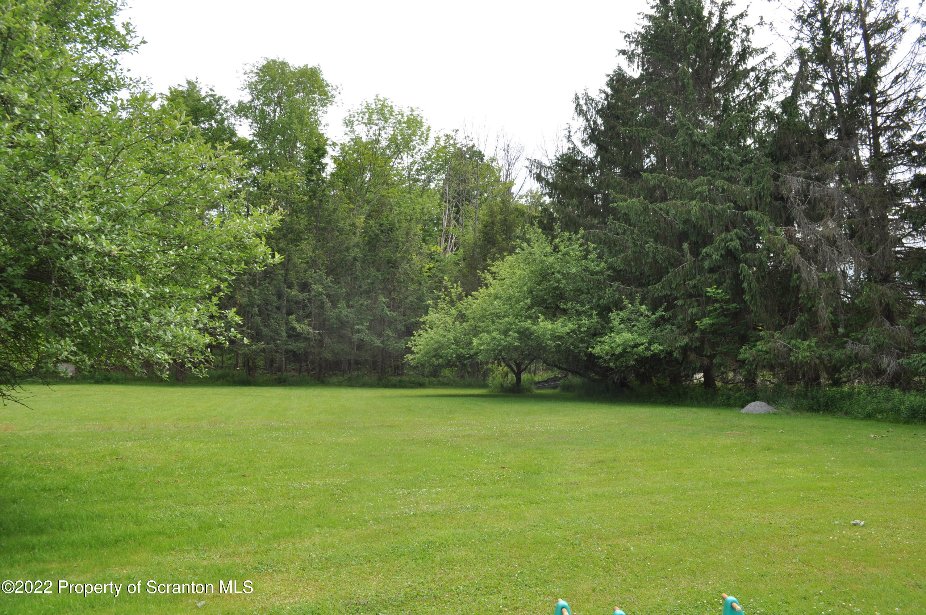 24 Prompton Road Prompton, PA 18456 - Photo 19 of 22 Backyard