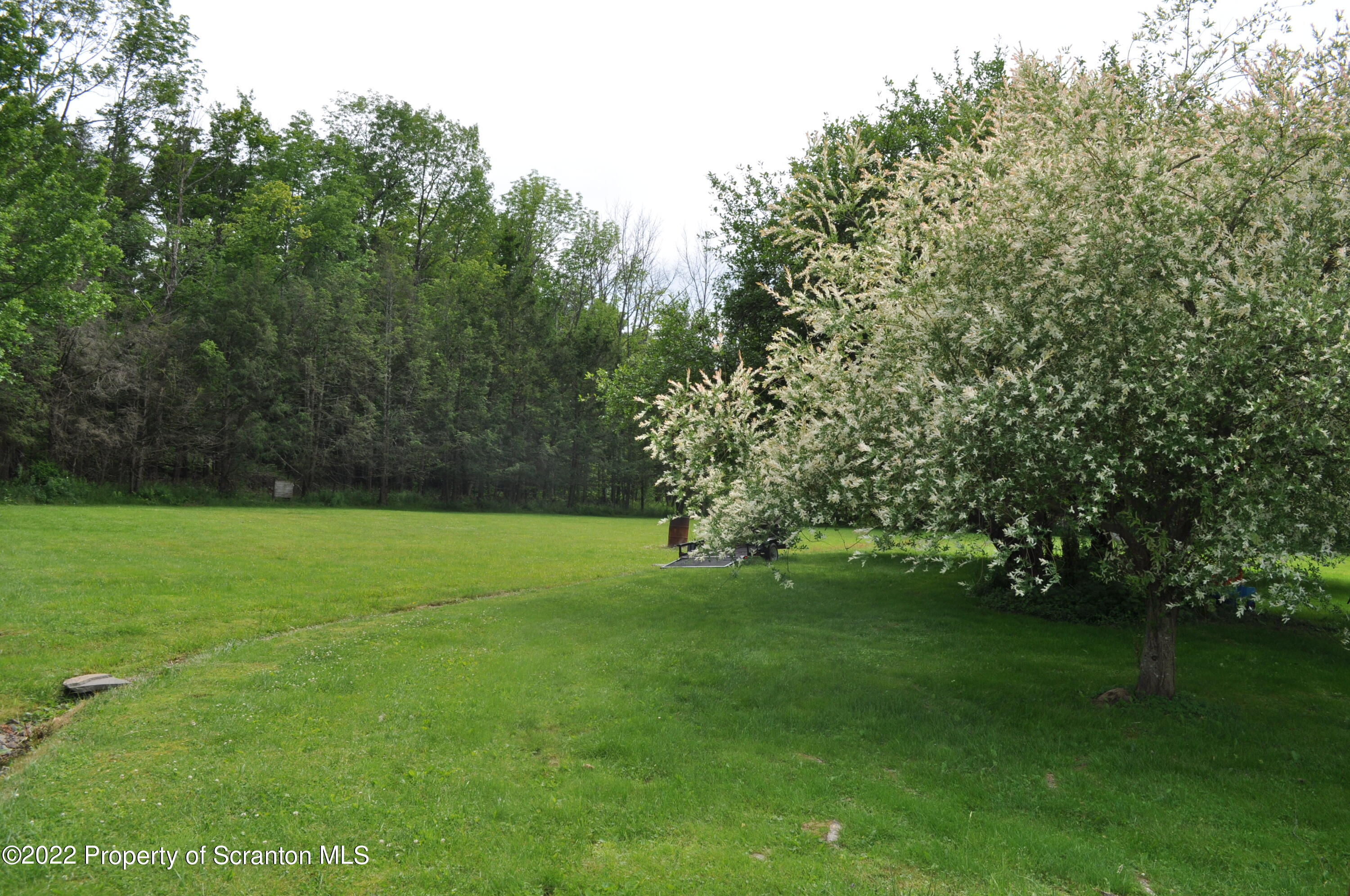 24 Prompton Road Prompton, PA 18456 - Photo 21 of 22 Yard