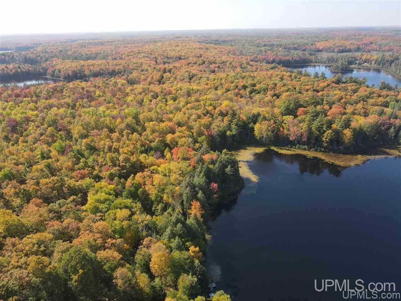 Tbd Tbd Grace Lake Road Watersmeet, MI 49969 - Photo 4 of 16