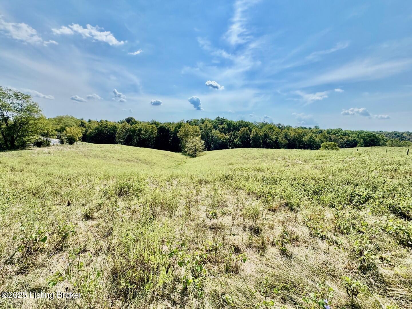 1431 Chaplin Road Willisburg, KY 40078 - Photo 10 of 14 IMG_4325 (Large)