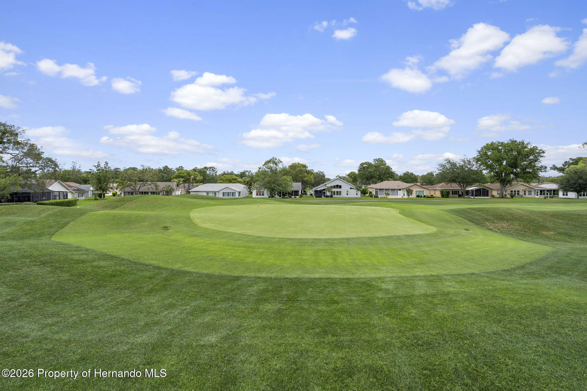 3072 Eagle Bend Road Spring Hill, FL 34606 - Photo 69 of 115 69-web-or-mls-SP_1071