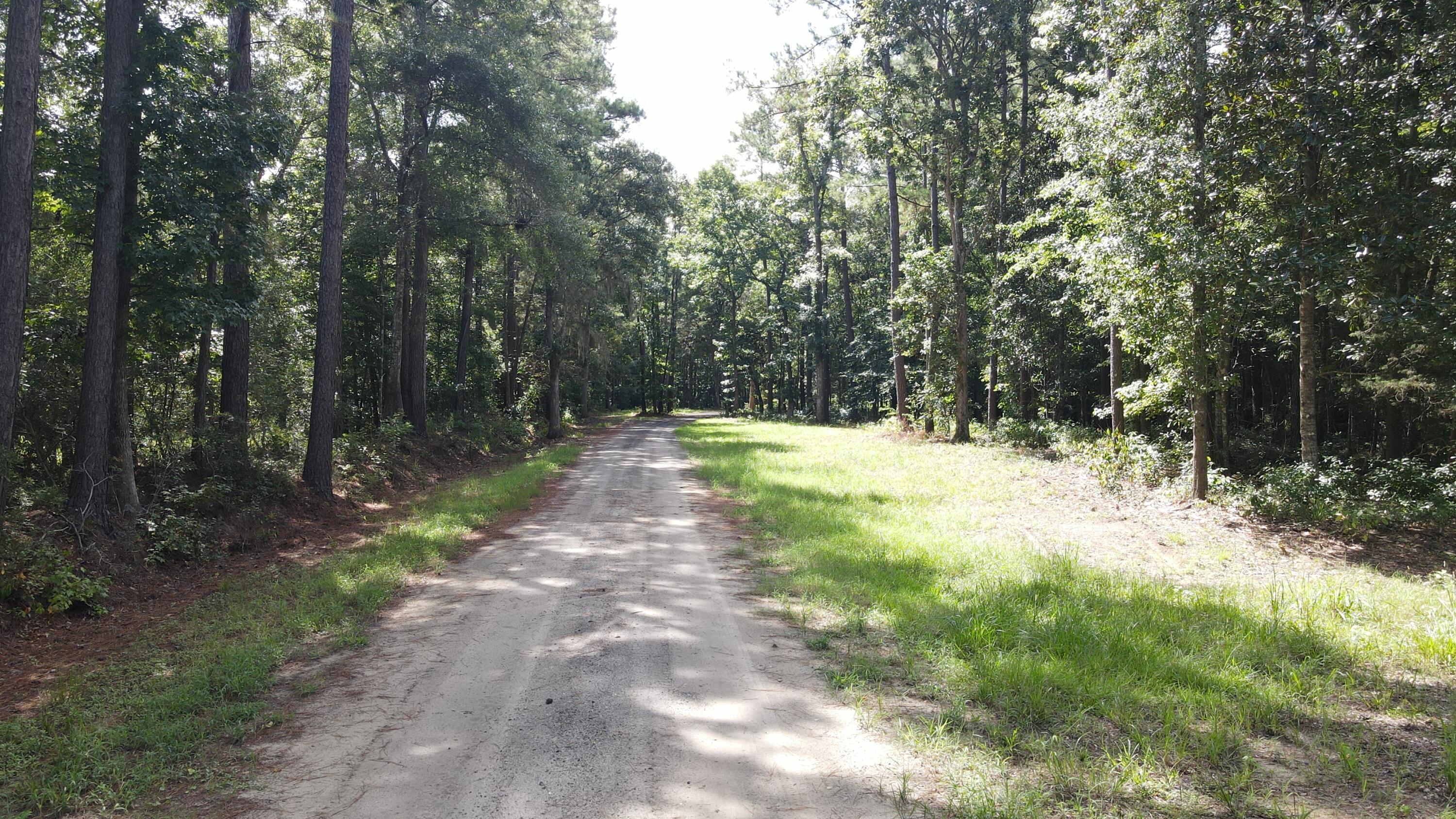 4503 Chisolm Road, Unit LOT B Johns Island, SC 29455 - Photo 15 of 21 dji_fly_20260809_105626_668_178628741256