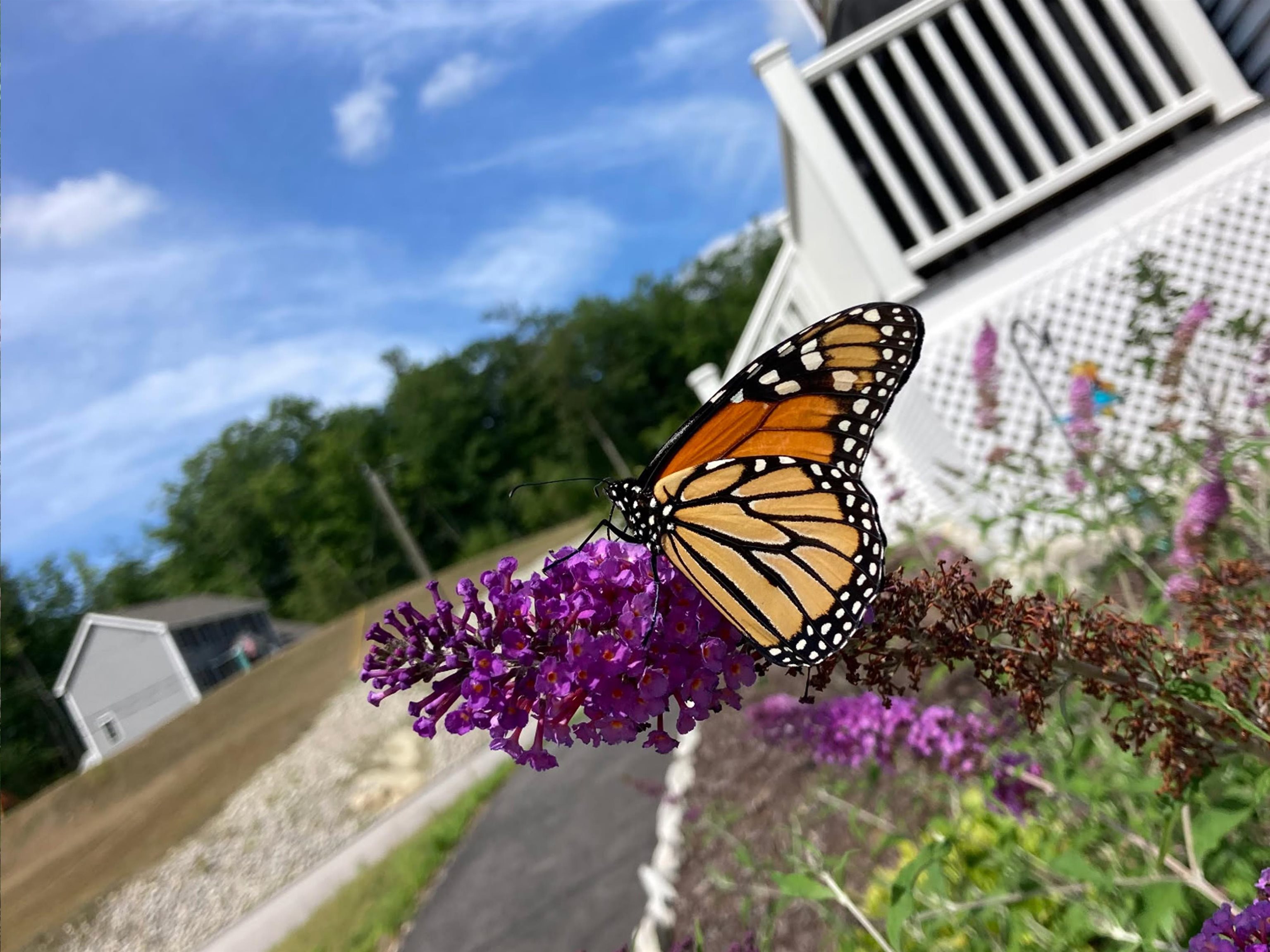 97 Timber Ridge Drive Milford, NH 03055 - Photo 23 of 26