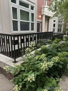 a view of a backyard with plants