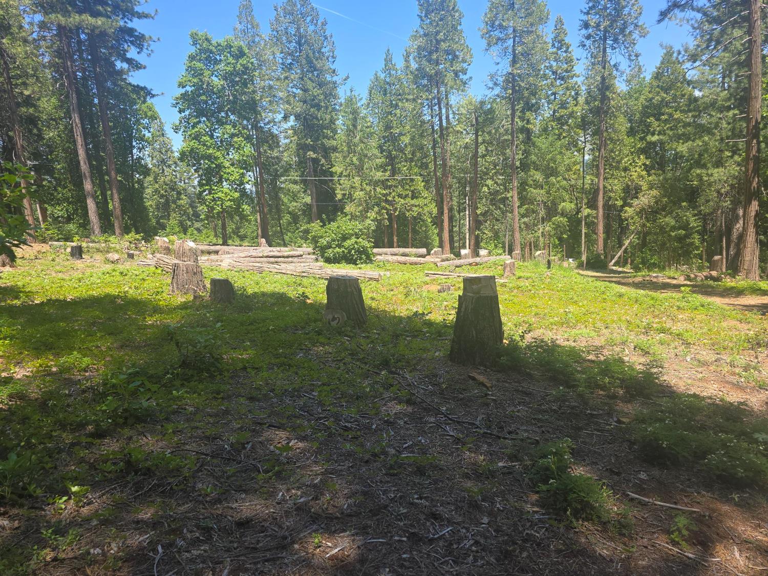 12181 Robust Way Nevada City, CA 95959 - Photo 7 of 7