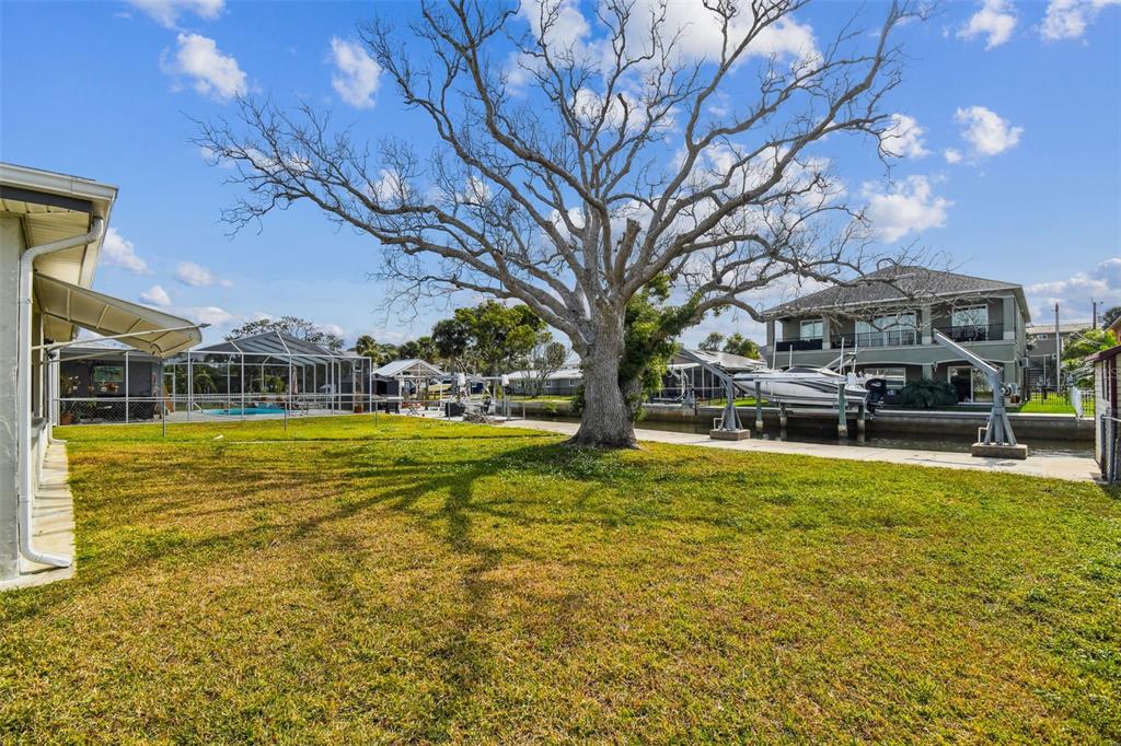 5410 Quist Drive Port Richey, FL 34668 - Photo 47 of 99