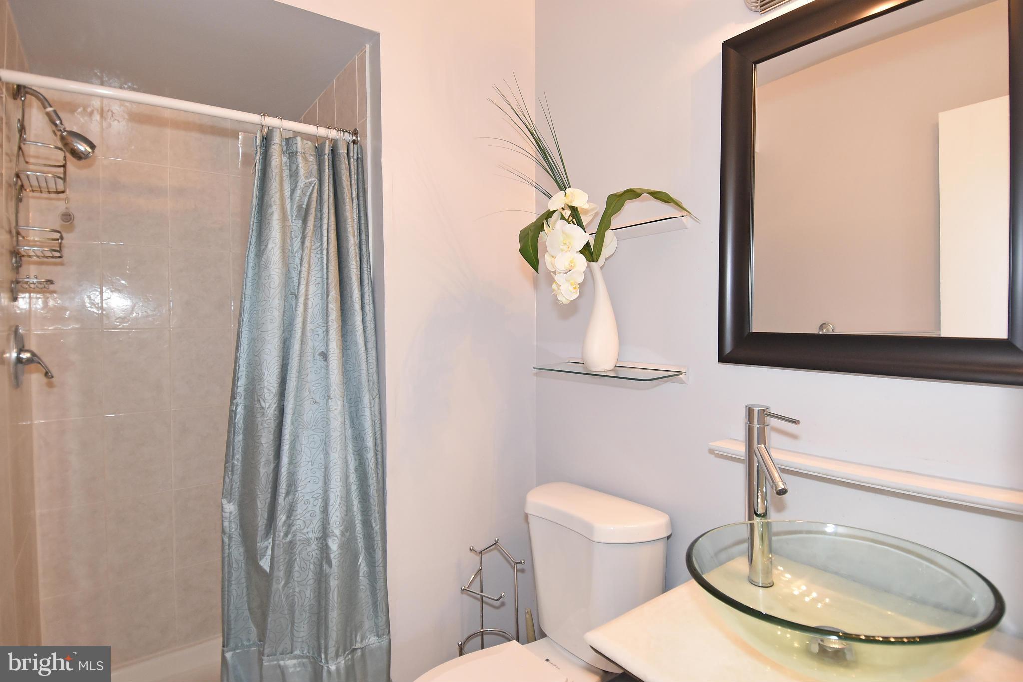 3725 Ferrara Drive Silver Spring, MD 20906 - Photo 17 of 30 Bath (Master)