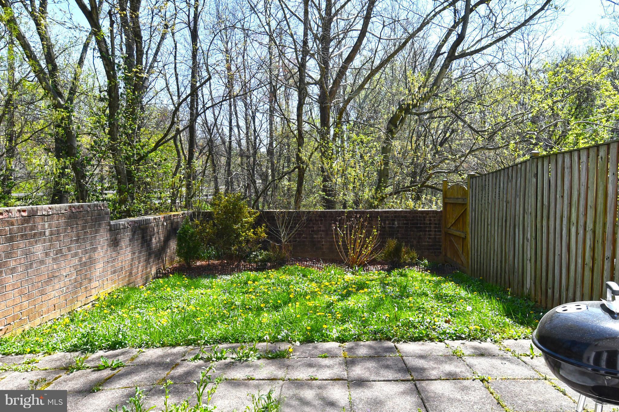 3725 Ferrara Drive Silver Spring, MD 20906 - Photo 29 of 30 Exterior (Rear)
