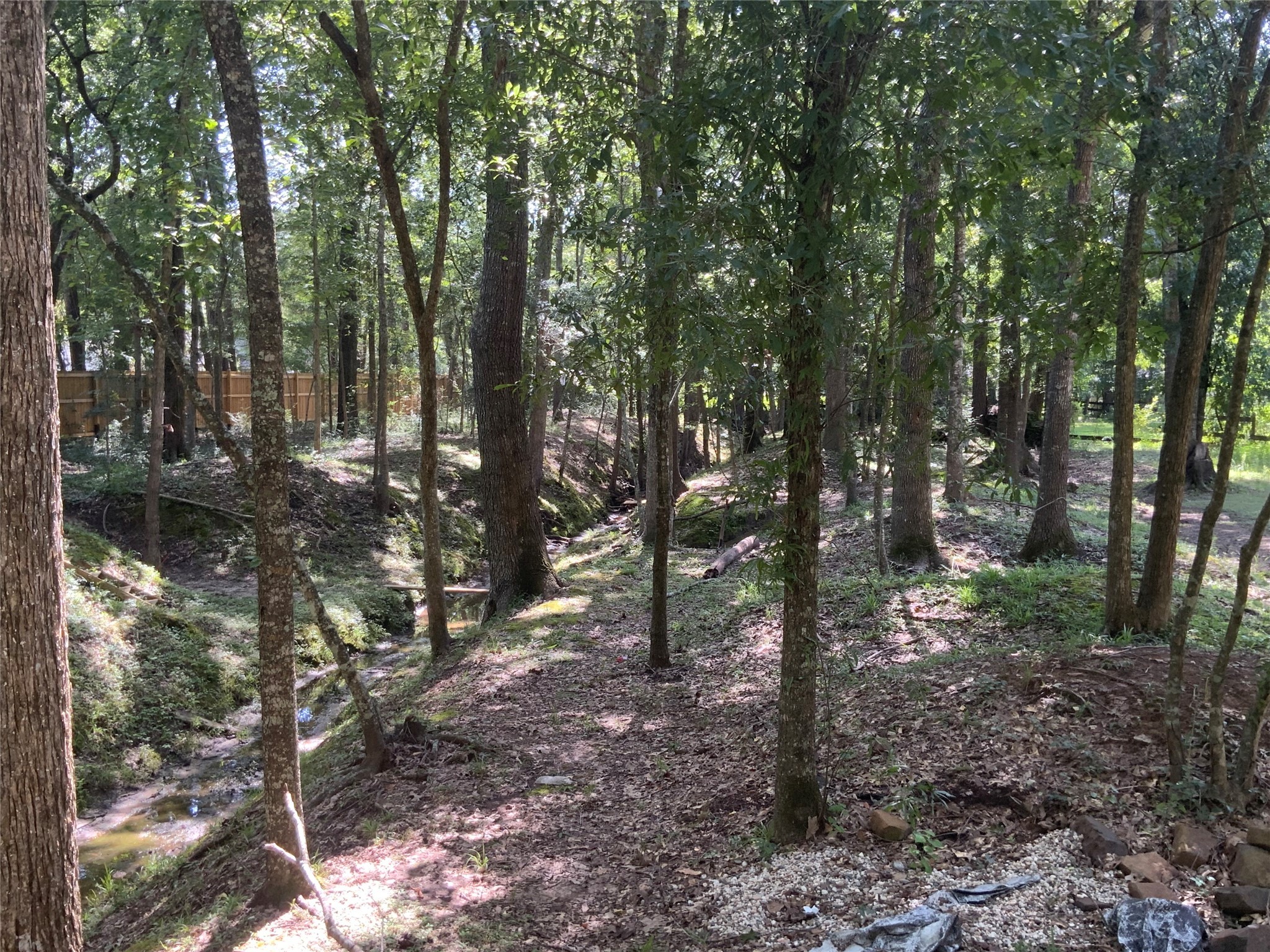 1114 Lake Glen Road Huffman, TX 77336 - Photo 11 of 22 a view of forest