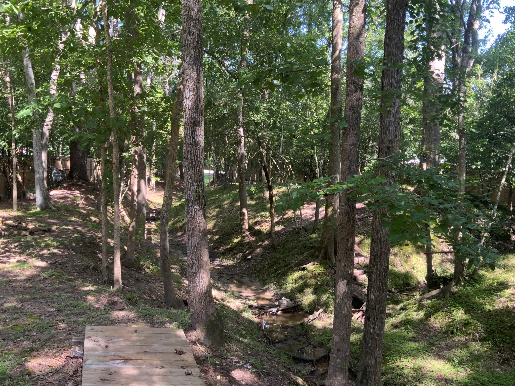1114 Lake Glen Road Huffman, TX 77336 - Photo 12 of 22 a view of forest