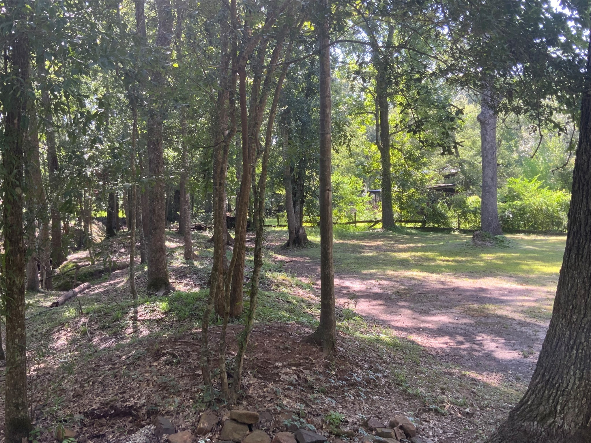 1114 Lake Glen Road Huffman, TX 77336 - Photo 15 of 22 a view of a tree in the middle of a yard