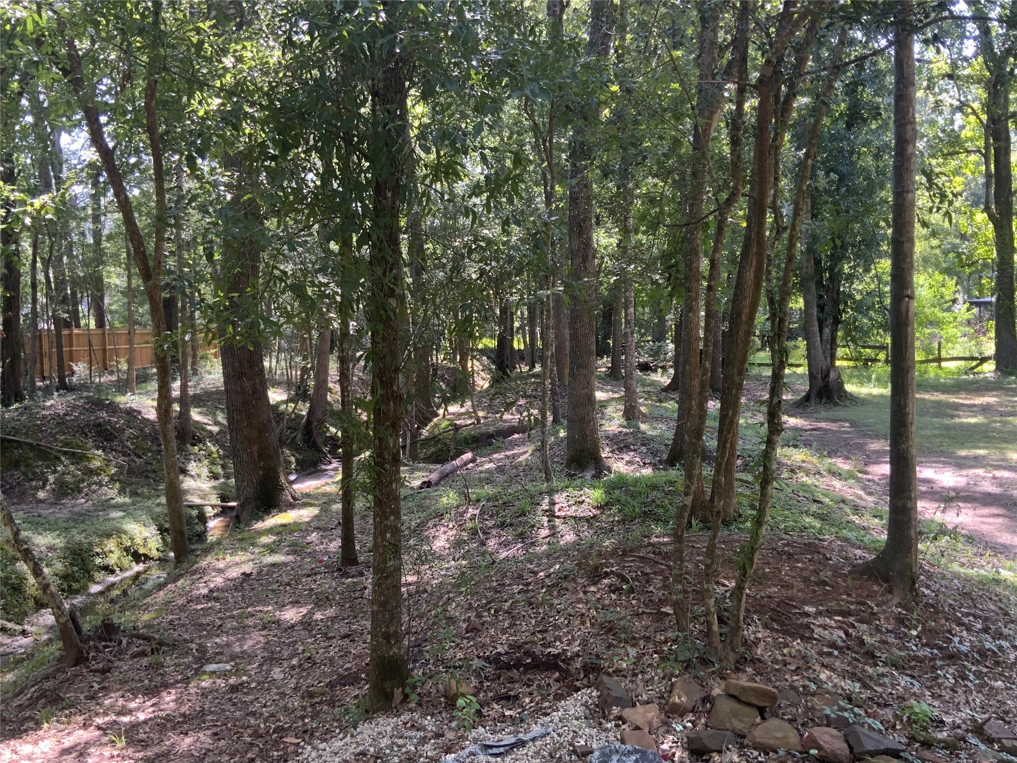 1114 Lake Glen Road Huffman, TX 77336 - Photo 16 of 22 a view of a forest filled with trees