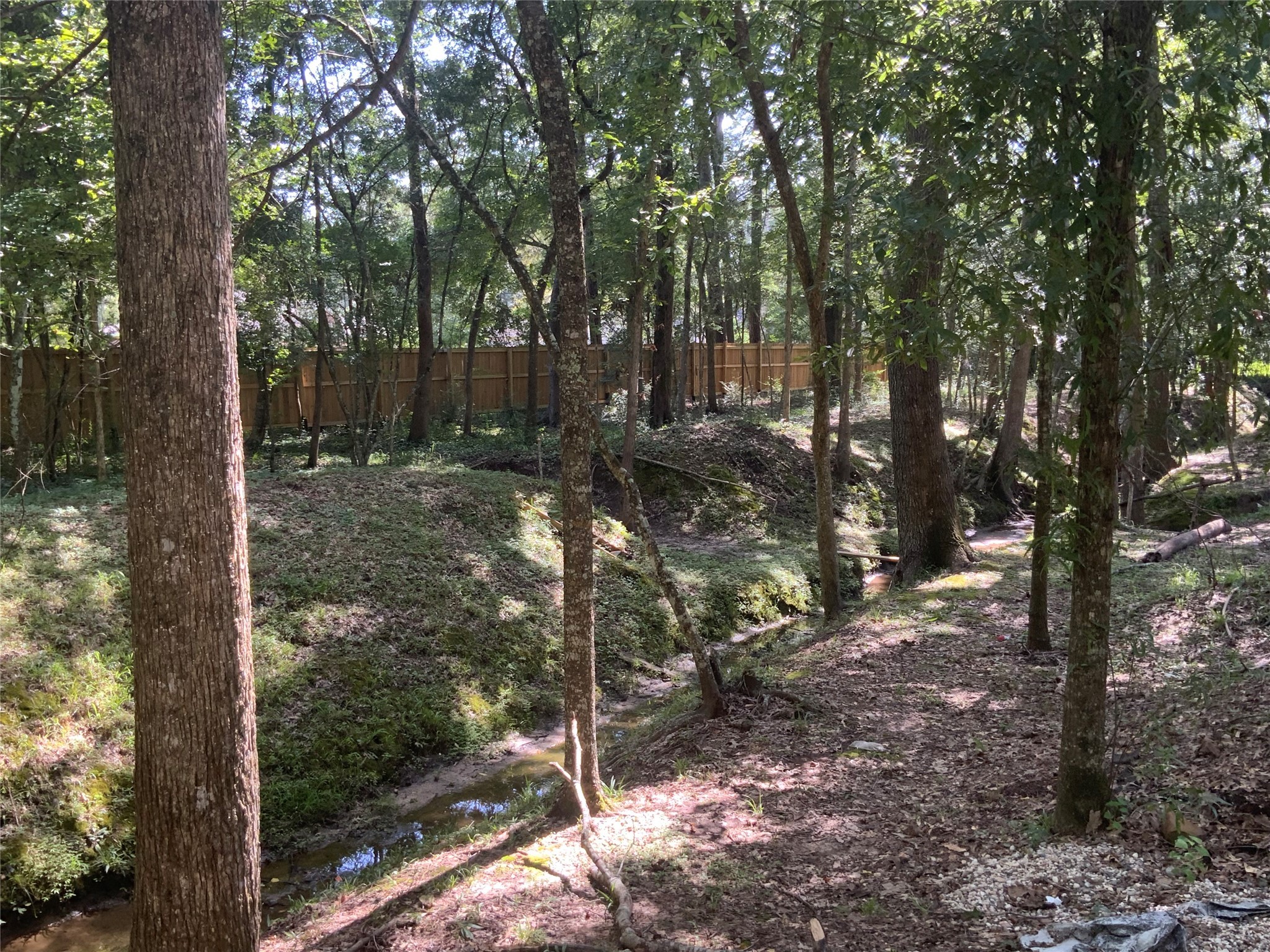1114 Lake Glen Road Huffman, TX 77336 - Photo 17 of 22 a view of a tree in the forest