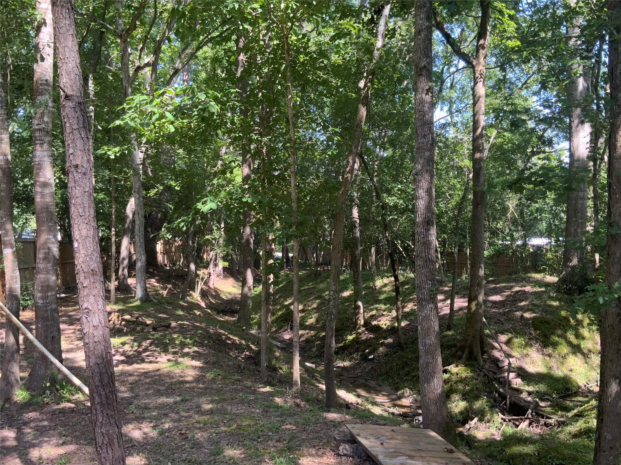 1114 Lake Glen Road Huffman, TX 77336 - Photo 18 of 22 a backyard of a house with lots of green space