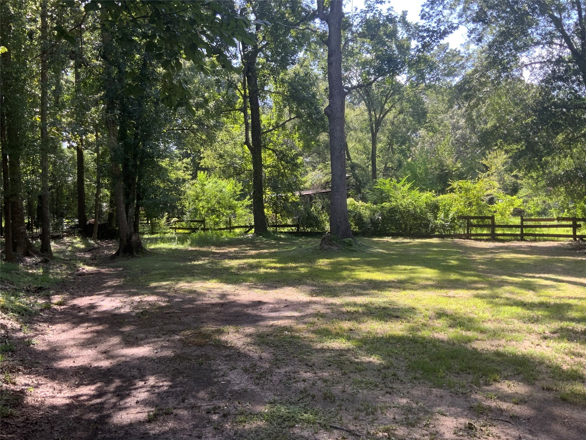 1114 Lake Glen Road Huffman, TX 77336 - Photo 19 of 22 a view of a tree in the middle of a yard