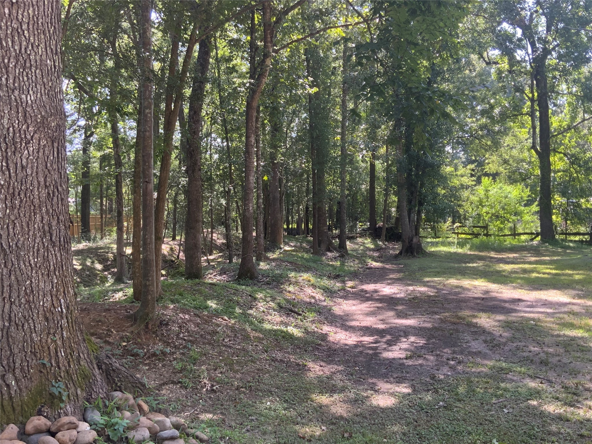 1114 Lake Glen Road Huffman, TX 77336 - Photo 20 of 22 a view of outdoor space with lots of trees