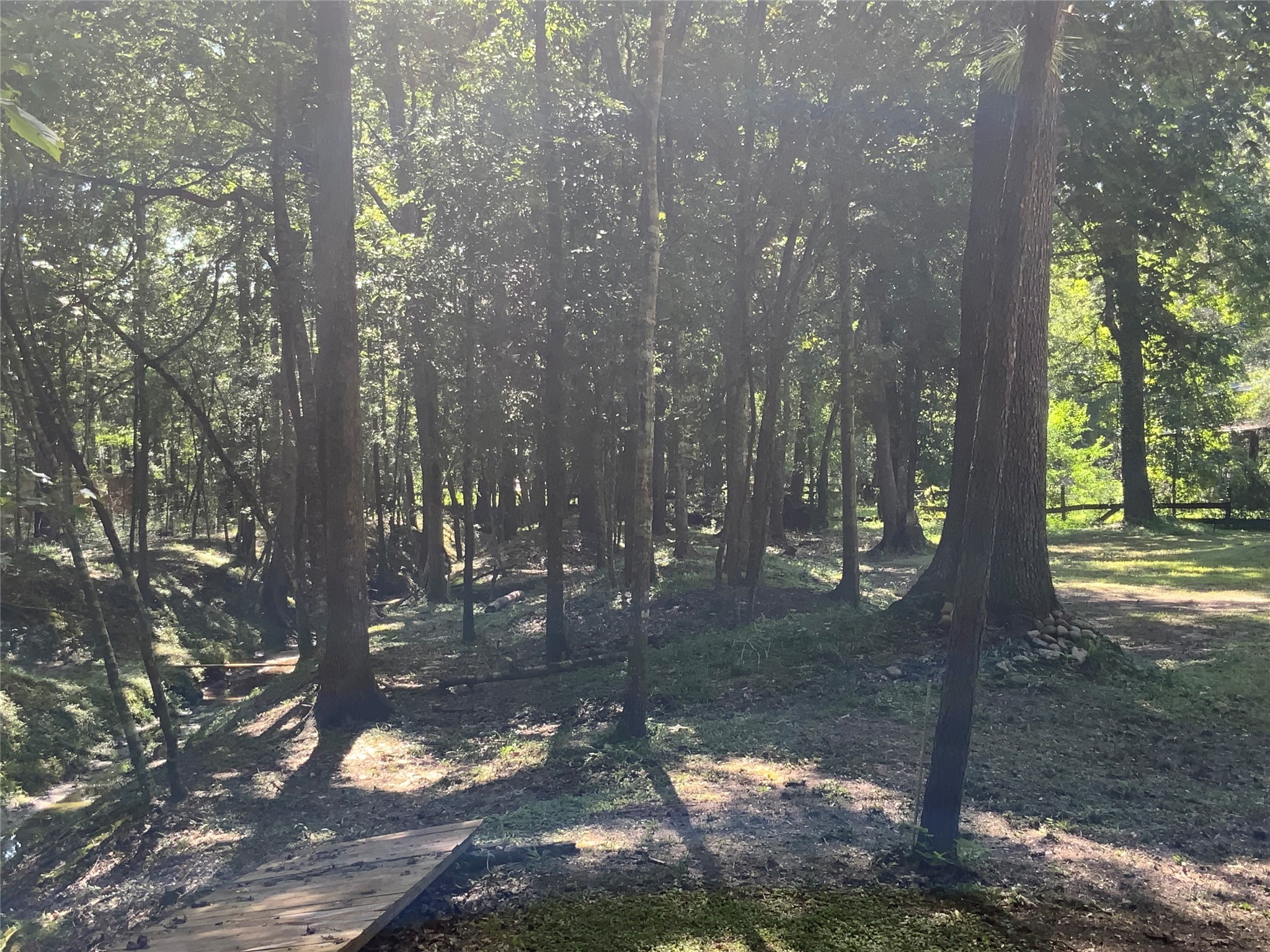 1114 Lake Glen Road Huffman, TX 77336 - Photo 2 of 22 a view of a tree in a yard
