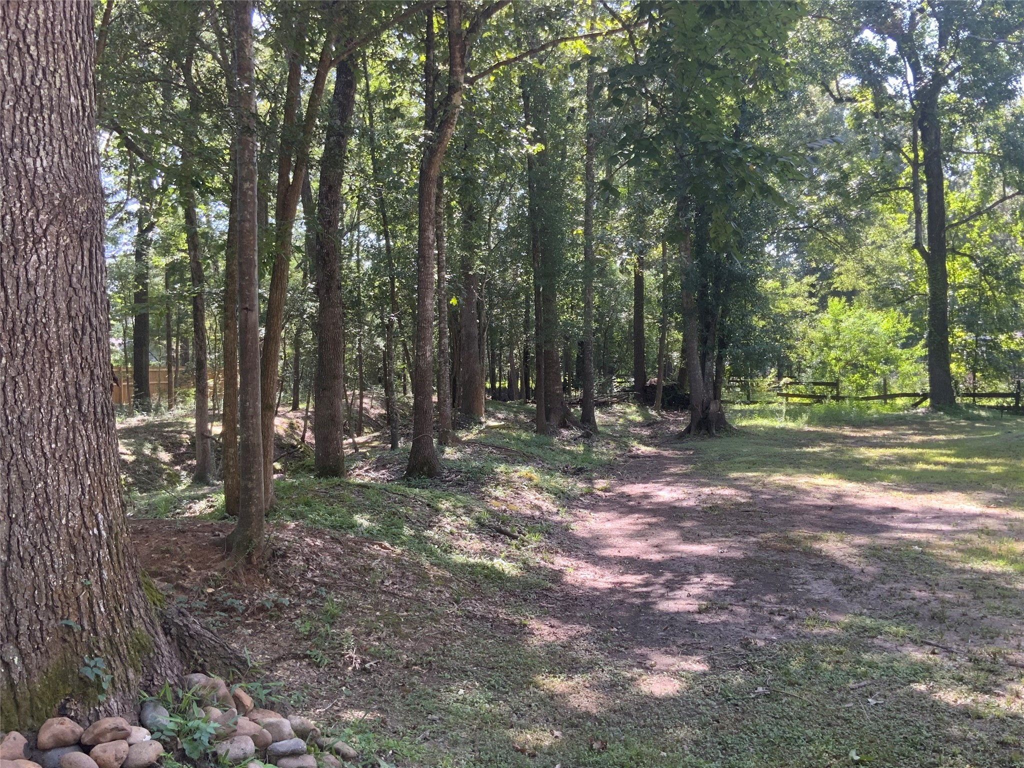 1114 Lake Glen Road Huffman, TX 77336 - Photo 21 of 22 a view of outdoor space with green space