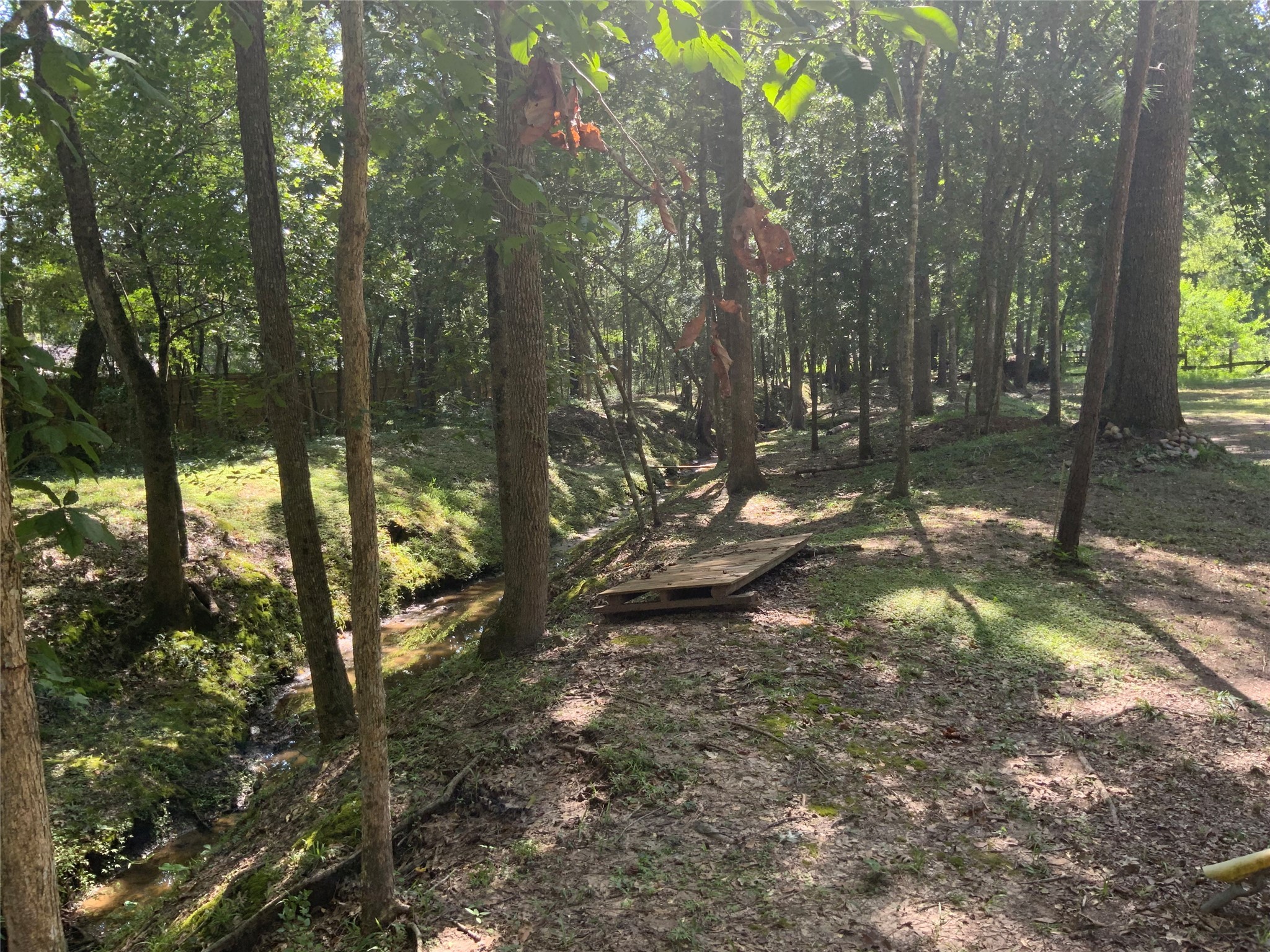 1114 Lake Glen Road Huffman, TX 77336 - Photo 5 of 22 a view of tree