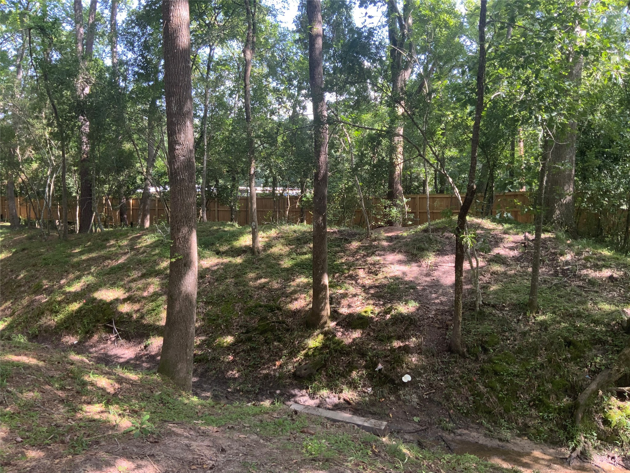 1114 Lake Glen Road Huffman, TX 77336 - Photo 6 of 22 a view of a tree in a yard