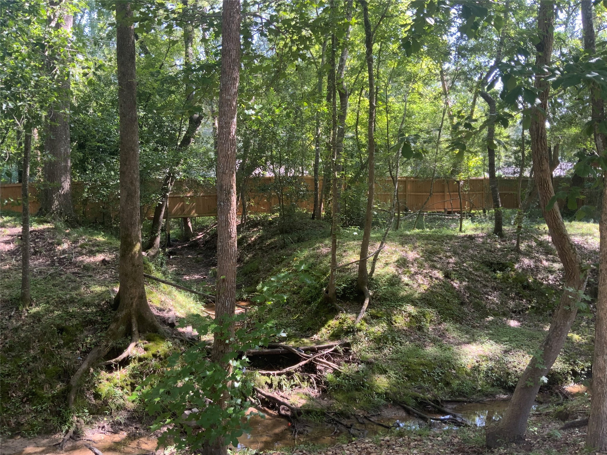 1114 Lake Glen Road Huffman, TX 77336 - Photo 7 of 22 a backyard of a house with lots of green space