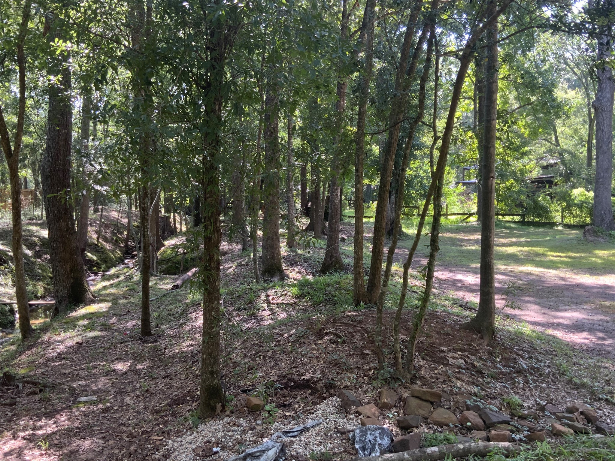 1114 Lake Glen Road Huffman, TX 77336 - Photo 9 of 22 a view of a forest that has large trees