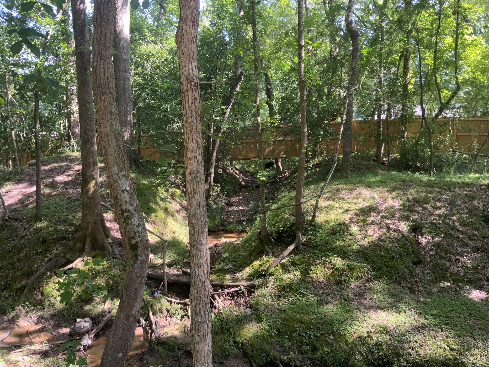 1114 Lake Glen Road Huffman, TX 77336 - Photo 10 of 22 a view of a forest with trees