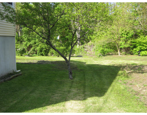 103 Totten Pond Road Waltham, MA 02451 - Photo 4 of 6 Gallery Image 4