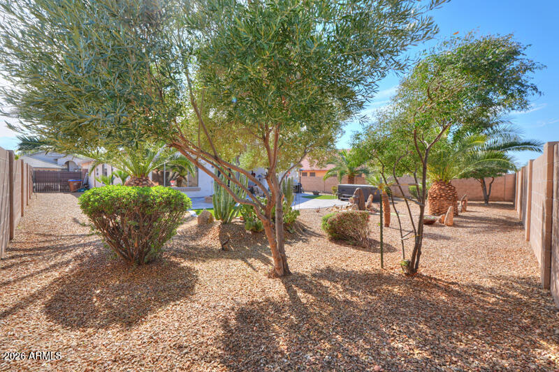 40752 Walker Way Maricopa, AZ 85138 - Photo 36 of 45 51