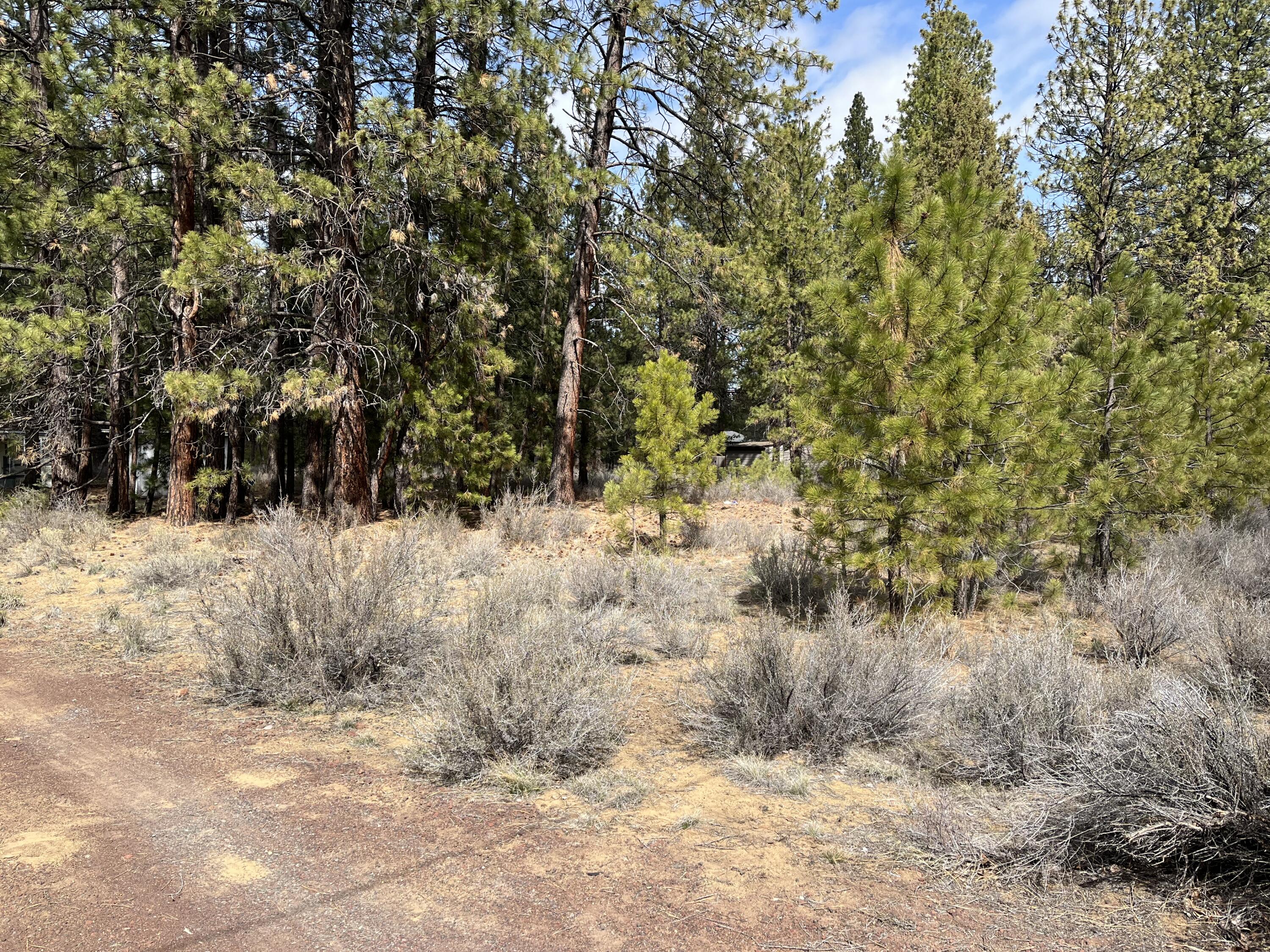 60069 Cheyenne Road Bend, OR 97702 - Photo 3 of 14 IMG-3497