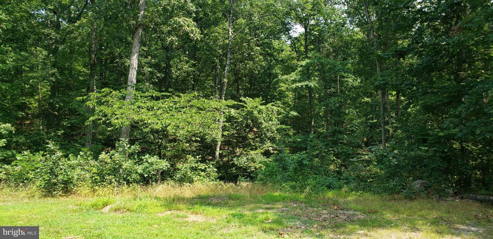 Cherb Run Hedgesville, WV 25427 - Photo 1 of 9 Unrestricted Lot!
