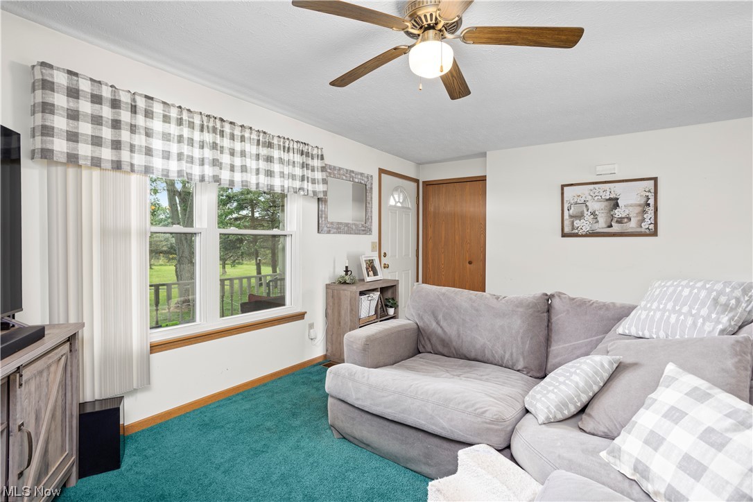 10965 Crawford Road Homerville, OH 44235 - Photo 10 of 35 Carpeted living room with ceiling fan