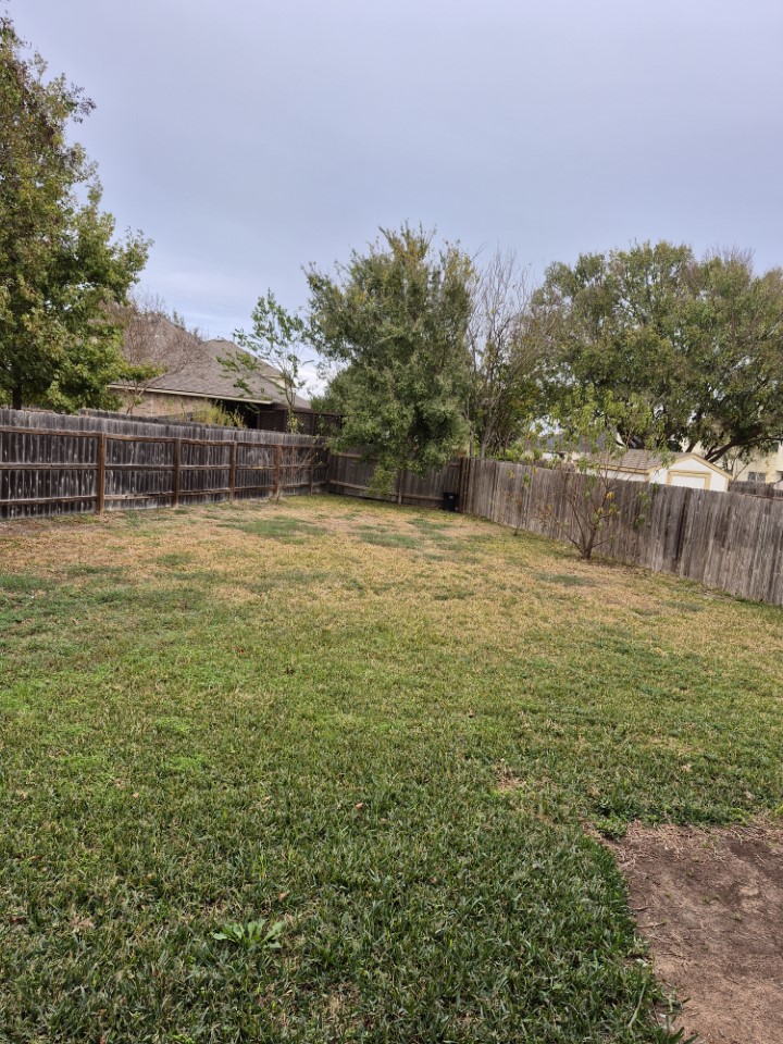 808 Busleigh Castle Way Pflugerville, TX 78660 - Photo 31 of 31 Pretty back yard