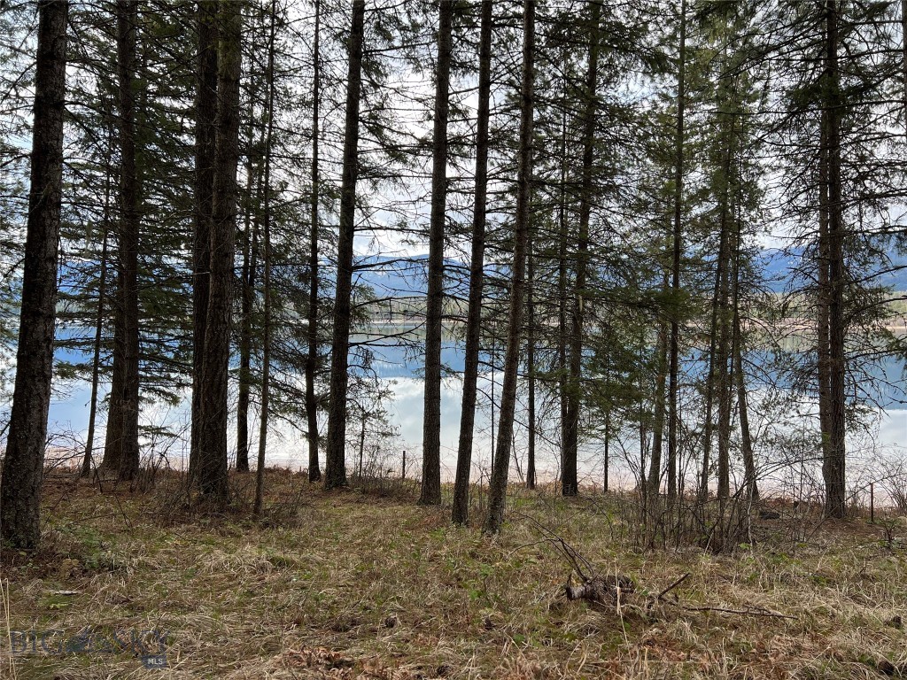 88 Blue Slide Road Thompson Falls, MT 59873 - Photo 1 of 1 Gallery Image 1