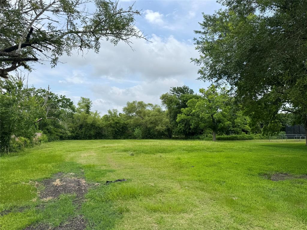 0 John Martin Road Baytown, TX 77521 - Photo 8 of 19 a view of a grassy field with trees