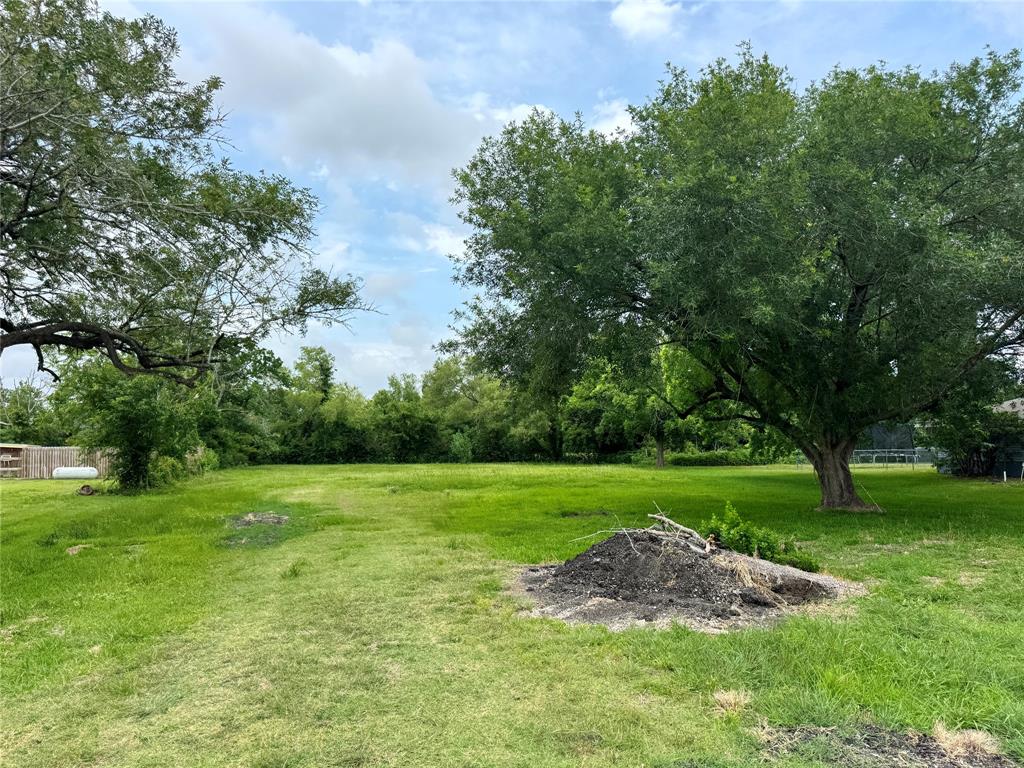 0 John Martin Road Baytown, TX 77521 - Photo 9 of 19 a view of a big yard with large trees