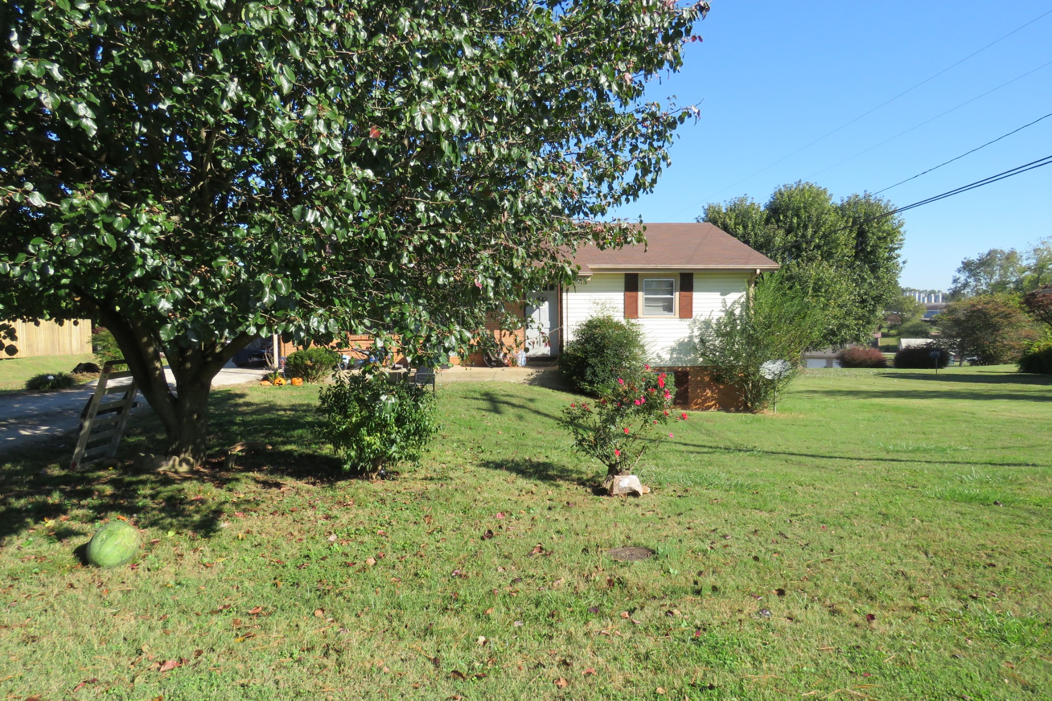 476 Sunset Drive Sparta, TN 38583 - Photo 18 of 21 a view of a garden with a tree
