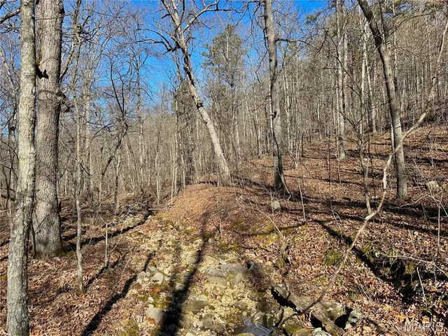 $120,000 | 0 40.4 Acres County Road 5650, Bunker, MO 63629