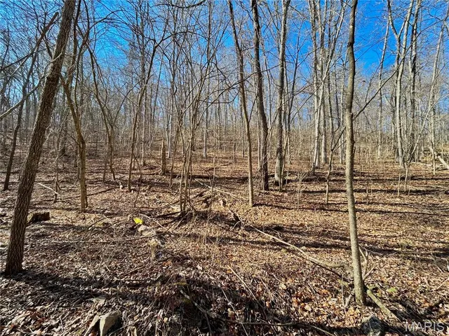 $120,000 | 0 40.4 Acres County Road 5650, Bunker, MO 63629