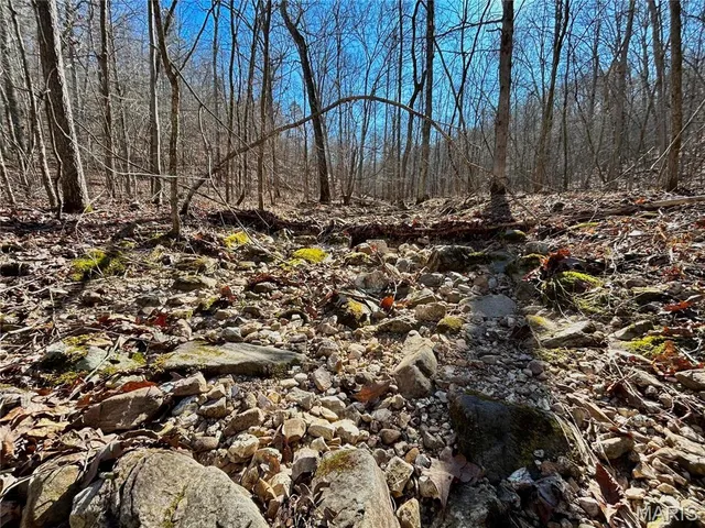 $120,000 | 0 40.4 Acres County Road 5650, Bunker, MO 63629