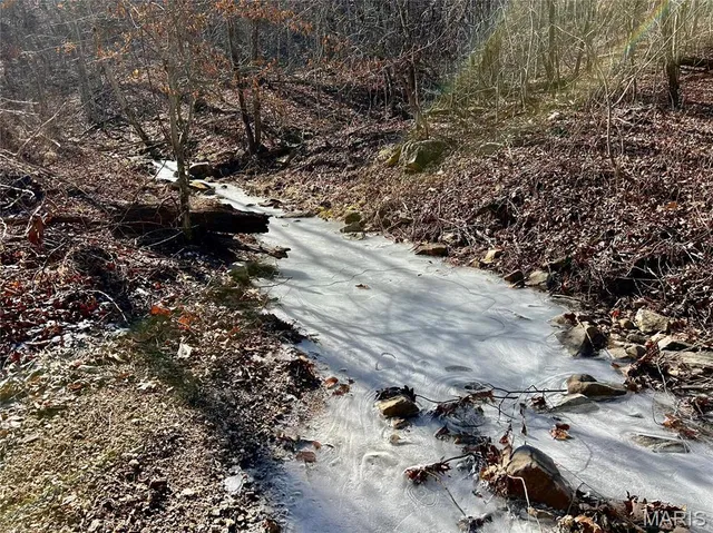 $120,000 | 0 40.4 Acres County Road 5650, Bunker, MO 63629