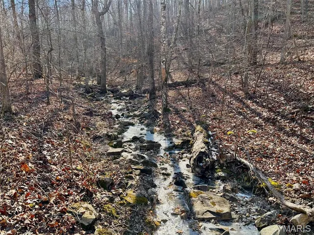 $120,000 | 0 40.4 Acres County Road 5650, Bunker, MO 63629