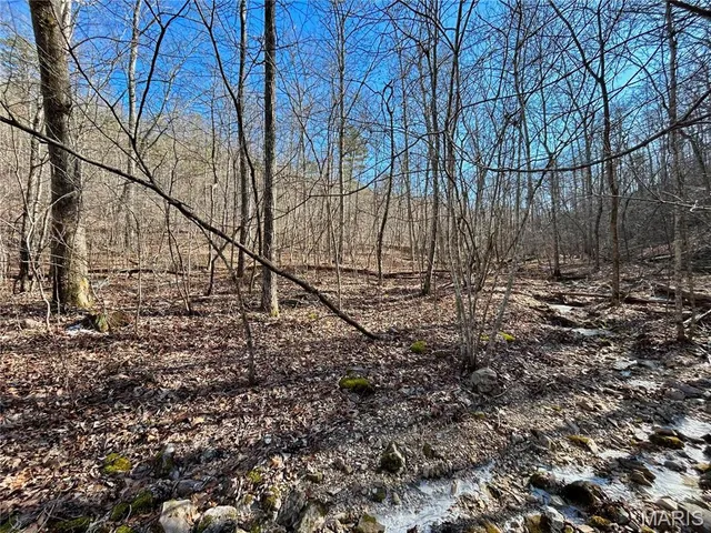 $120,000 | 0 40.4 Acres County Road 5650, Bunker, MO 63629