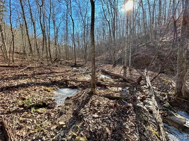 $120,000 | 0 40.4 Acres County Road 5650, Bunker, MO 63629