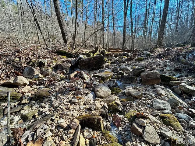 $120,000 | 0 40.4 Acres County Road 5650, Bunker, MO 63629