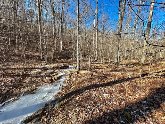 $120,000 | 0 40.4 Acres County Road 5650, Bunker, MO 63629