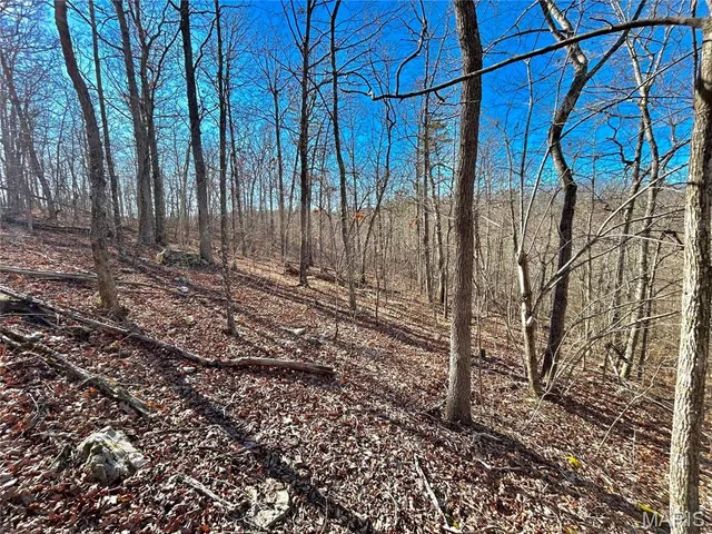 $120,000 | 0 40.4 Acres County Road 5650, Bunker, MO 63629