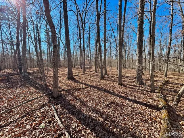 $120,000 | 0 40.4 Acres County Road 5650, Bunker, MO 63629