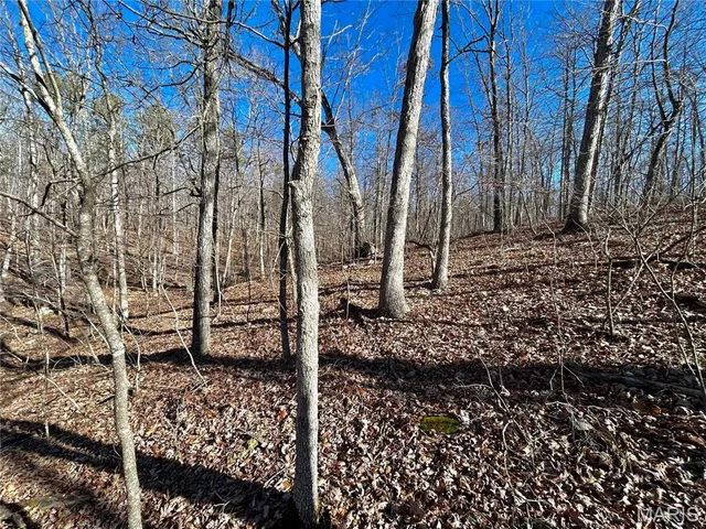 $120,000 | 0 40.4 Acres County Road 5650, Bunker, MO 63629